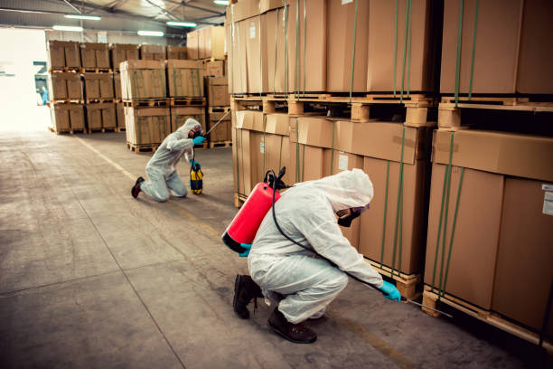 Best Pest Control Near Me in Springville, VA