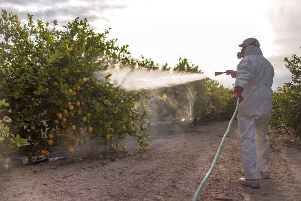 Springville, VA Pest Control Company